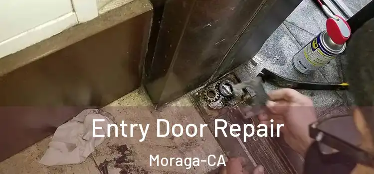  Entry Door Repair Moraga-CA