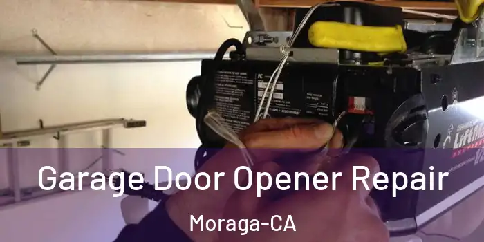  Garage Door Opener Repair Moraga-CA