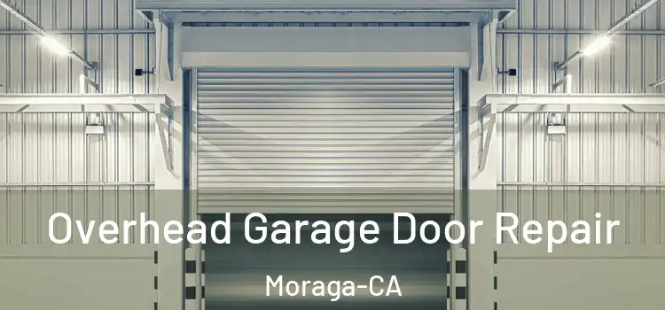 Overhead Garage Door Repair Moraga-CA